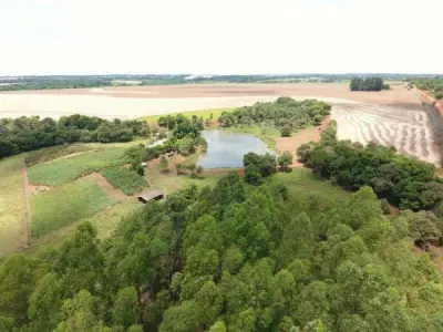 Propriedade rural de 30 hectares em Minga Guazú, Alto Paraná 4