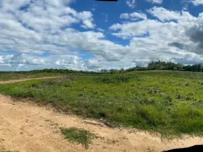 Propiedad rural de 32 hectáreas en venta en Tavapy, Alto Paraná 4