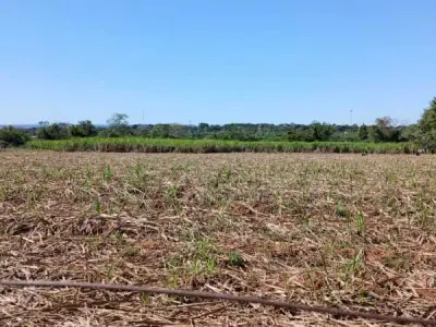 Propiedad rural de 3,5 hectáreas en venta en Nueva Italia 2