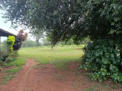 40-hectare rural property in Minga Guazú, Alto Paraná 4