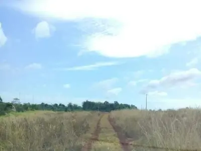 Propriedade rural de 41 hectares em Puerto Irala, Alto Paraná 2