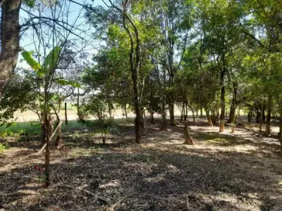 Propiedad rural de 4,5 hectáreas en venta, Minga Guazú 2