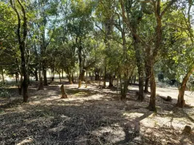 Propiedad rural de 4,5 hectáreas en venta, Minga Guazú 3