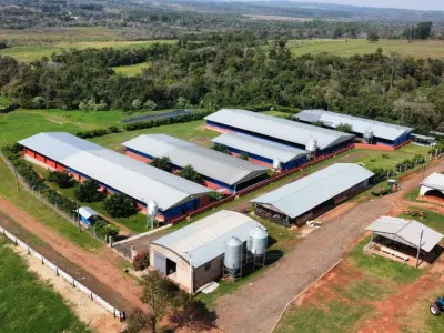Propiedad rural de 50 hectáreas con infraestructura industrial en Coronel Oviedo 3