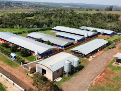 Propiedad rural de 50 hectáreas con infraestructura industrial en Coronel Oviedo 4