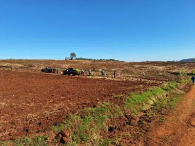 Propiedad rural de 51 hectáreas en venta en Itapúa Poty, Itapúa 2