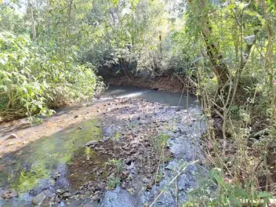Propiedad rural de 51 hectáreas en venta en Itapúa Poty, Itapúa 3