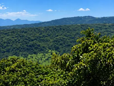 Propriedade rural de 58 hectares à venda em Ybycuí 3