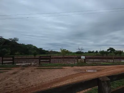 Propiedad rural de 73 hectáreas en venta, Belén, Concepción 3