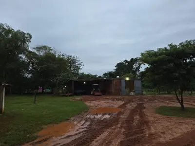 Propiedad rural de 73 hectáreas en venta, Belén, Concepción 4