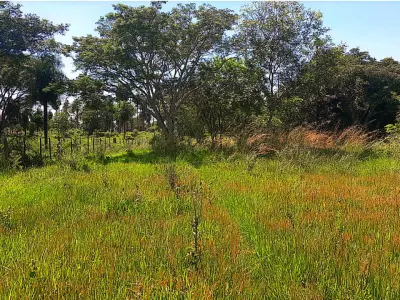 Rural Property for Sale 4 km from Coronel Oviedo 3