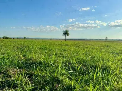 Rural property for sale in Arroyos y Esteros — 48 hectares 2