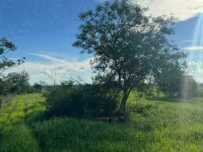Rural property for sale in Arroyos y Esteros — 48 hectares 3