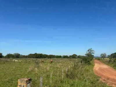 Rural property for sale in Arroyos y Esteros — 48 hectares 5