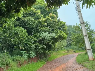 Propiedad rural en venta en Atyrá, zona Zanja Jhu 4