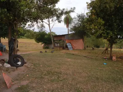 Propriedade rural à venda em Caaguazú — 3,5 hectares com granja 4