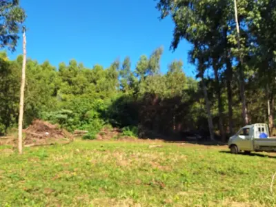 Propiedad rural en venta en Cambyretá, Itapúa — 1 hectárea 3