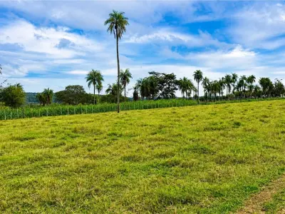 Propriedade rural à venda em Isla Pucú, Cordillera 3