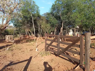 Propiedad rural en venta en Itakyry, 18 hectáreas 3