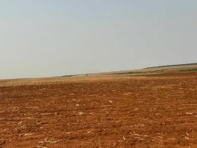 Propiedad rural en venta en Itakyry, Alto Paraná — 1.570 hectáreas 4