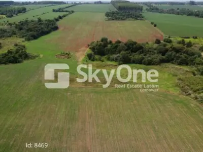Propriedade rural à venda em Minga Guazú - 10 hectares 3