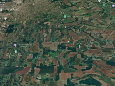 Rural Property for Sale in Minga Guazú - 11 Hectares, Mechanized 5