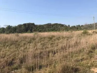 Propiedad rural en venta en Nueva Colombia, Cordillera – 46 hectáreas 2