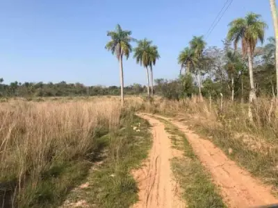 Propiedad rural en venta en Nueva Colombia, Cordillera – 46 hectáreas 3