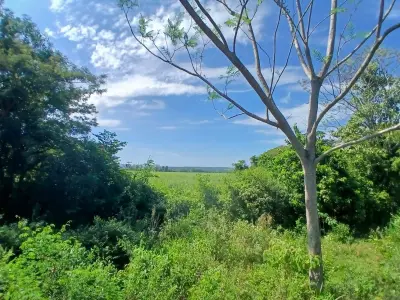 Propiedad rural en venta en Nueva Italia 2