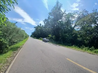 Propiedad rural en venta en Nueva Italia 3
