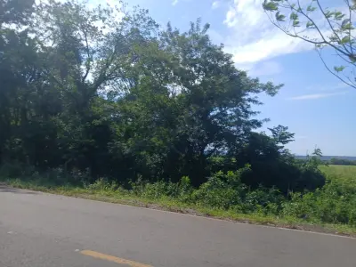 Propiedad rural en venta en Nueva Italia 4
