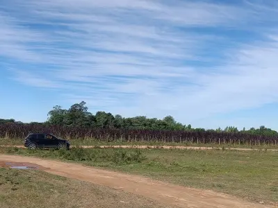 Propiedad rural en venta en Pindoty, Nueva Italia — más de 2 hectáreas 2