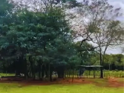 Rural property for sale in Piribebuy — 50 hectares with cattle infrastructure 2