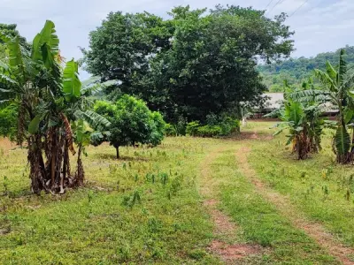 Propriedade rural à venda em Piribebuy, Cordillera — 2 hectares 5
