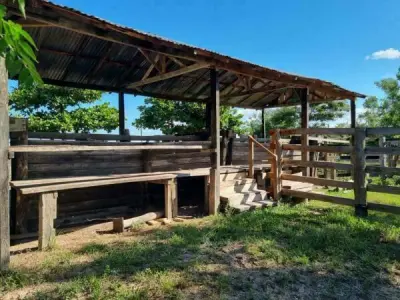 Propiedad rural en venta en San Pedro | 98 hectáreas con casa patronal 4