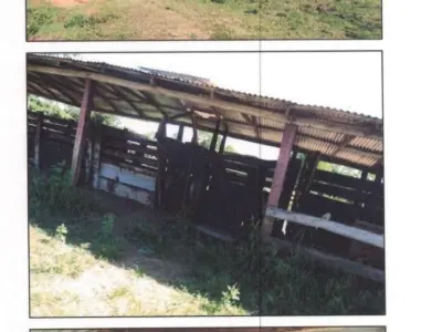 Propriedade rural à venda em San Pedro del Ycuamandiyú – 158 hectares 4