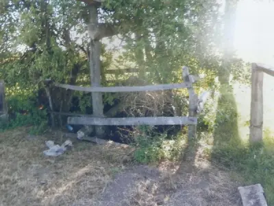 Propiedad rural en venta en Villa Franca, Ñeembucú 2