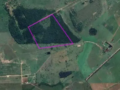 Propiedad rural en venta en zona Costa, Villa Hayes 2