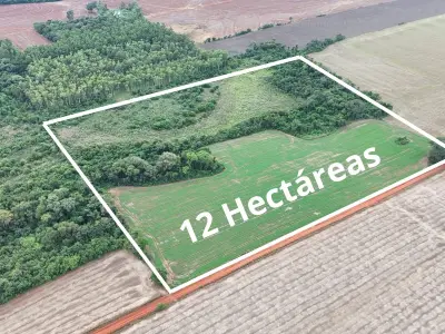 Propiedad rural mecanizada de 12 ha en Carmen del Paraná, Itapúa 2