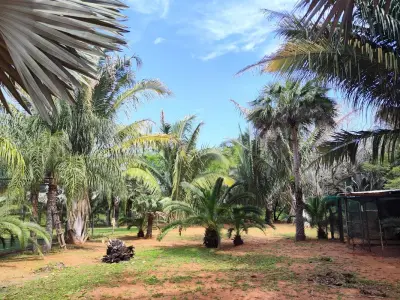 Quinta à venda em Itá com piscina e quadras 4