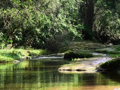 Quinta en venta en Itacurubí de la Cordillera 3