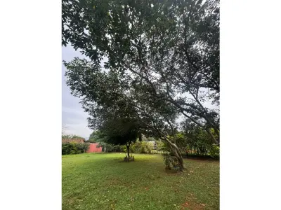 Quinta en venta en Yataity, Capiatá 4