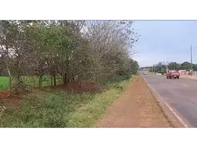 Terreno agrícola de 20 hectares à venda em Capitán Miranda 2