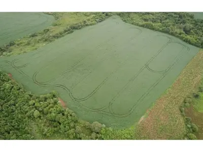 Terreno agrícola de 6 hectares à venda em Cambyretá, Itapúa 4