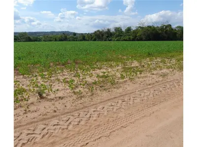 Terreno agrícola en venta en Cambyretá, Itapúa 3