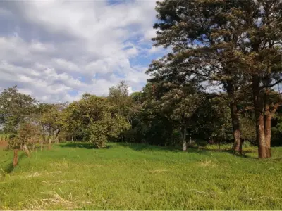 Terreno agrícola à venda em Capitán Miranda, Itapúa 3