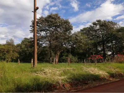 Terreno agrícola à venda em Capitán Miranda, Itapúa 4