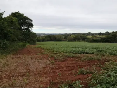 Terreno agrícola à venda em Capitán Miranda, Itapúa 4