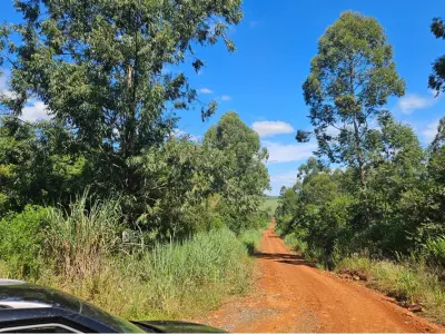 Terreno agrícola en venta en Pirapó, Itapúa 2