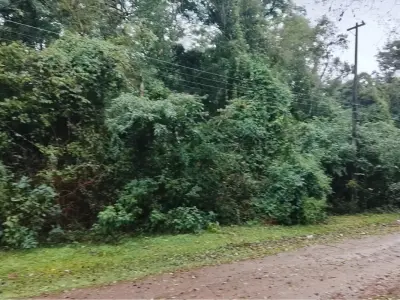 Terreno Bo. San Isidro 3